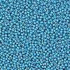 11/0 Czech Opaque Glass Seed Beads SEED-N004-003B-16-4