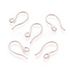 304 Stainless Steel Earring Hooks STAS-O110-19RG-1