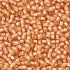 TOHO Round Seed Beads SEED-JPTR11-0391-2