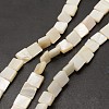 Natural Freshwater Shell Beads Strands SHEL-E355-07B-1