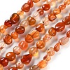 Natural Carnelian Beads Strands G-P497-01C-35-1