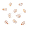 Fashewelry Natural Cowrie Shell Beads BSHE-TA0001-01-14