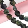 Natural Kambaba Jasper Beads Strands G-O120-16-2