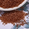 MIYUKI Delica Beads SEED-MY11-DB0777-1