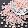 6/0 Glass Seed Beads SEED-T005-14-B15-4