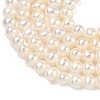 Natural Cultured Freshwater Pearl Beads Strands PEAR-L034-06D-3