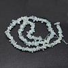 Chips Natural Aquamarine Beads Strands X-G-N0164-24-3