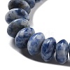 Natural Blue Spot Jasper Beads Strands G-P559-A15-02-4