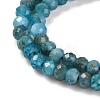Natural Apatite Beads Strands X-G-F770-D09-02B-4