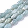 Natural Amazonite Beads Strands X-G-S364-050-1