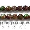 Natural Green Opal Beads Strands G-H045-A03-10MM-5