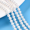 Natural Nucleated Pearl Beads Strands PEAR-N016-04A-2