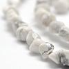 Natural Howlite Beads Strands G-F465-05-3