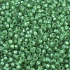 MIYUKI Round Rocailles Beads SEED-X0054-RR0646-3