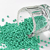 11/0 Grade A Baking Paint Glass Seed Beads X-SEED-N001-A-1030-1
