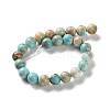 Dyed Natural Regalite/Imperial Jasper/Sea Sediment Jasper Beads Strands X-G-B124-C01-15-3