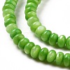 Natural Freshwater Shell Beads Strands SHEL-H002-04-4