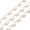 Handmade Oval Plastic Beaded Chains CHS-I019-10G-01-1