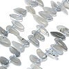 Natural Grey Moonstone Beads Strands G-G106-J01-01-1