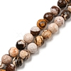 Natural Zebra Jasper Beads Strands G-C079-B01-01-1