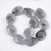 Natural Labradorite Beads Strands G-S354-07-2