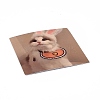 48Pcs 48 Styles PVC Plastic Pet Stickers Sets STIC-P004-24-5