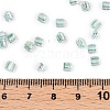 6/0 Transparent Inside Colours Glass Seed Beads SEED-N006-003C-4