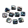 Natural Abalone Shell/Paua Shell Beads SSHEL-T014-12B-1