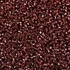 MIYUKI Delica Beads X-SEED-J020-DB2160-3