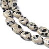 Natural Dalmatian Jasper Beads Strands G-Z006-A31-3