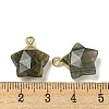 Natural Labradorite Pendants G-P540-01G-06-3