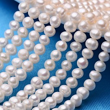 Natural Cultured Freshwater Pearl Beads Strands PEAR-E009-5-6mm