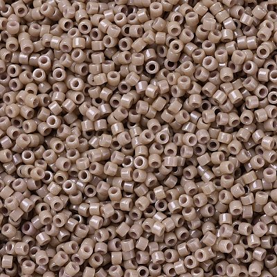 MIYUKI Delica Beads X-SEED-J020-DB2105-1