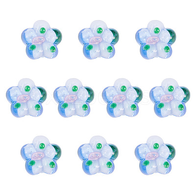 10Pcs Handmade Lampwork Beads LAMP-TADJ0001-01F-1