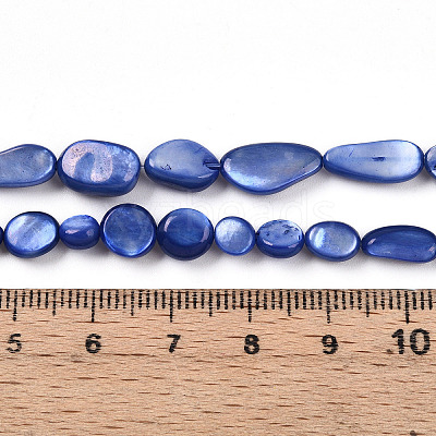 Natural White Shell Beads Strands SHEL-N036-21B-1