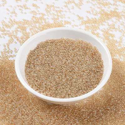 MIYUKI Round Rocailles Beads X-SEED-G009-RR0161-1