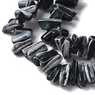 Dyed Natural Trochus Shell Beads Strands SSHEL-C013-09A-1