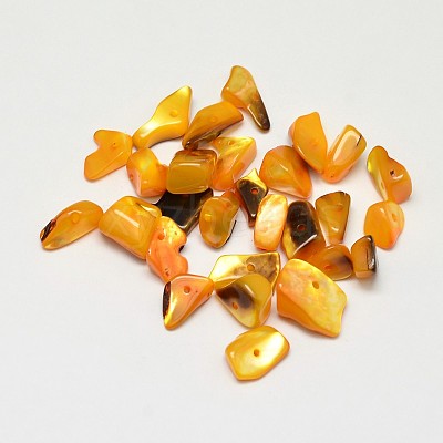 Dyed Natural Shell Nuggets Chips Beads BSHE-O007-04D-1