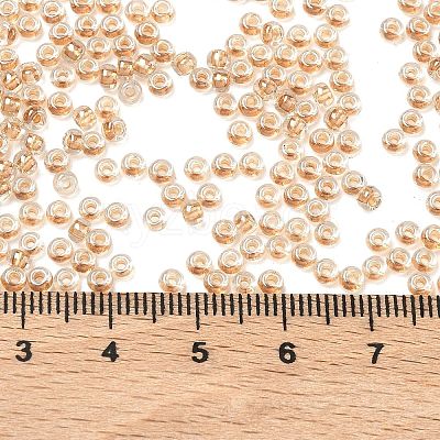 MIYUKI Round Rocailles Beads X-SEED-G008-RR0234-1