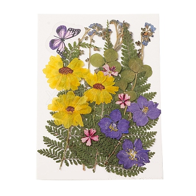 Pressed Dried Flowers DIY-YWC0001-97-1