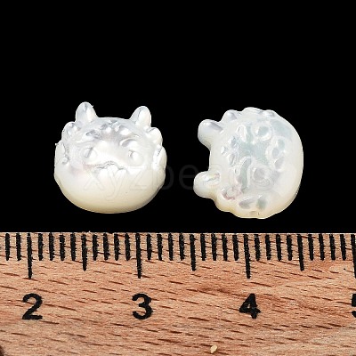 Natural White Shell SHEL-M020-03A-1