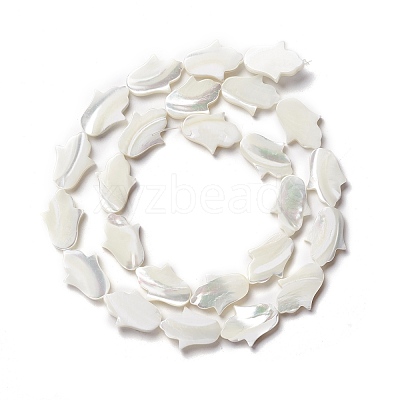 Natural Trochid Shell/Trochus Shell Beads SSHEL-O001-23B-1