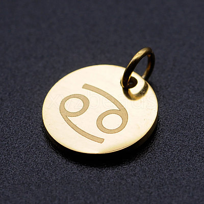 201 Stainless Steel Charms STAS-T049-T644-4G-1
