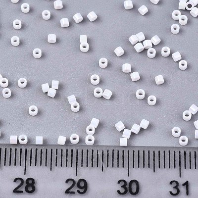 FGB 11/0 Grade A Baking Paint Glass Seed Beads X-SEED-S030-0401-1