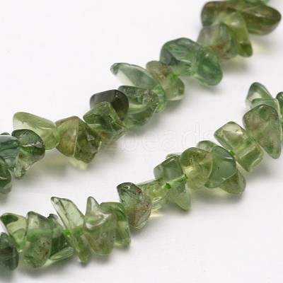 Chips Natural Green Apatite Beads Strands X-G-N0164-26-1