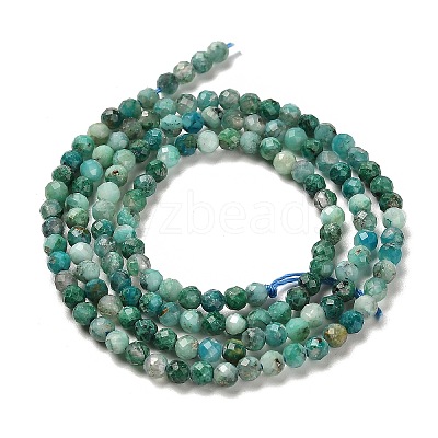 Natural Chrysocolla Beads Strands G-K373-B05-02-1