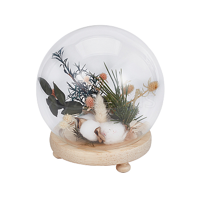 Glass Dome Cover AJEW-WH0401-76B-1