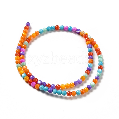 Dyed Natural Freshwater Shell Beads Strands SHEL-G014-05C-04-1