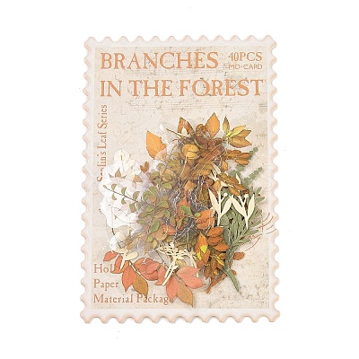 Autumn Leaf Scrapbooking Tool Kits DIY-P084-D06-1