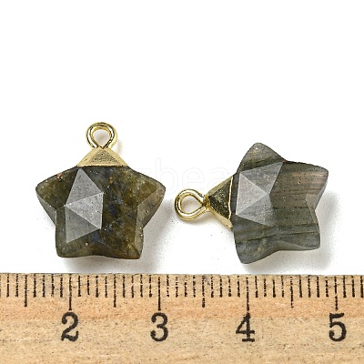 Natural Labradorite Pendants G-P540-01G-06-1